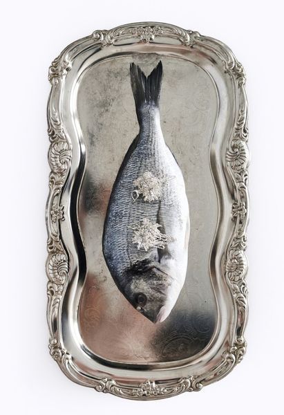 Срібні сережки "Скарби океану" silver-1 фото